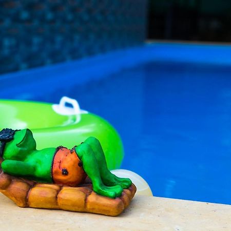 Lazy Frog Guest House Кавелоссим Экстерьер фото